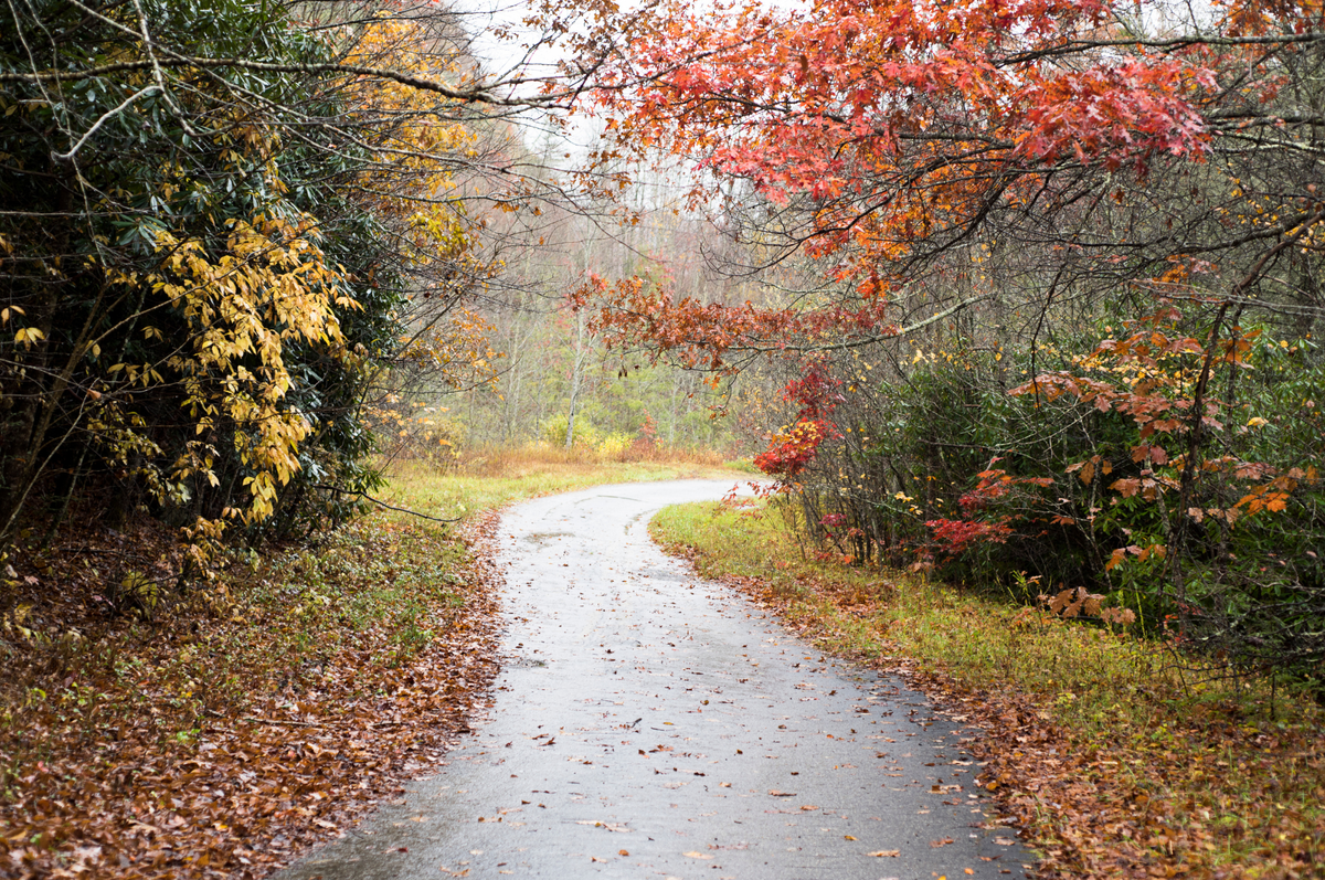 What October US Locations Offer Unmatched Luxury Through Home Swaps