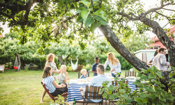 Member Story Q&A: Saskia