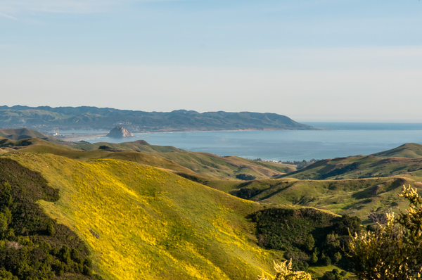 How Can Small Towns in California Inspire Your Luxury Home Swap Plans